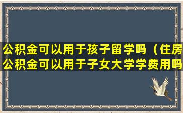 公积金可以用于孩子留学吗（住房公积金可以用于子女大学学费用吗）