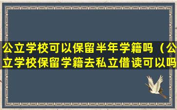 公立学校可以保留半年学籍吗（公立学校保留学籍去私立借读可以吗）