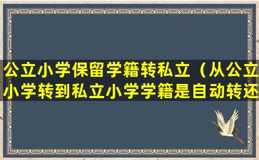 公立小学保留学籍转私立（从公立小学转到私立小学学籍是自动转还是保留在宫里）