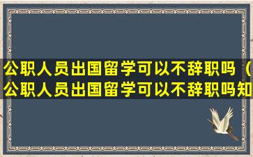 公职人员出国留学可以不辞职吗（公职人员出国留学可以不辞职吗知乎）