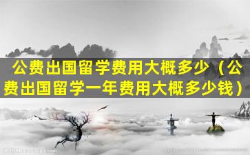 公费出国留学费用大概多少（公费出国留学一年费用大概多少钱）