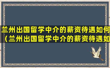 兰州出国留学中介的薪资待遇如何（兰州出国留学中介的薪资待遇如何啊）