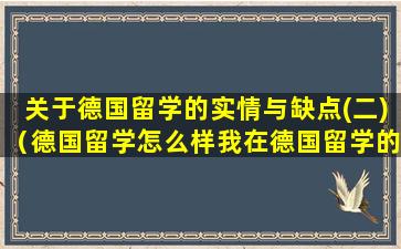 关于德国留学的实情与缺点(二)（德国留学怎么样我在德国留学的真实经历）