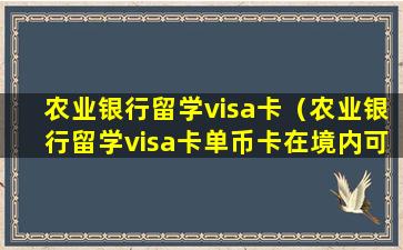 农业银行留学visa卡（农业银行留学visa卡单币卡在境内可以用吗）