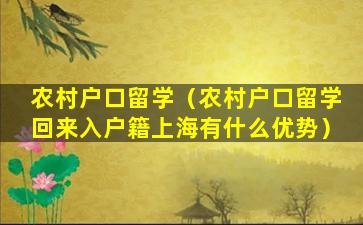 农村户口留学（农村户口留学回来入户籍上海有什么优势）