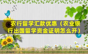 农行留学汇款优惠（农业银行出国留学资金证明怎么开）