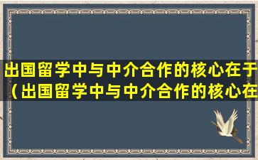 出国留学中与中介合作的核心在于（出国留学中与中介合作的核心在于哪些方面）