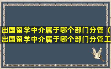 出国留学中介属于哪个部门分管（出国留学中介属于哪个部门分管工作）