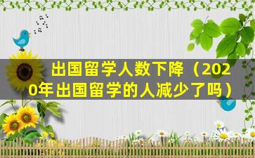 出国留学人数下降（2020年出国留学的人减少了吗）