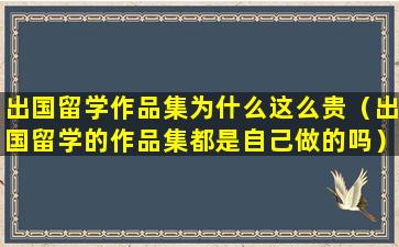 出国留学作品集为什么这么贵（出国留学的作品集都是自己做的吗）