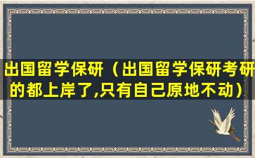 出国留学保研（出国留学保研考研的都上岸了,只有自己原地不动）