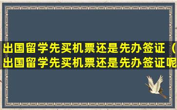 出国留学先买机票还是先办签证（出国留学先买机票还是先办签证呢）