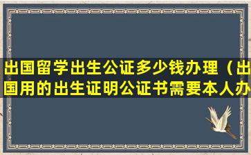 出国留学出生公证多少钱办理（出国用的出生证明公证书需要本人办理吗）