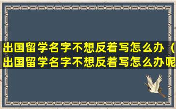 出国留学名字不想反着写怎么办（出国留学名字不想反着写怎么办呢）