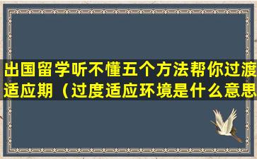 出国留学听不懂五个方法帮你过渡适应期（过度适应环境是什么意思）