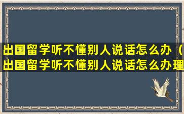 出国留学听不懂别人说话怎么办（出国留学听不懂别人说话怎么办理）