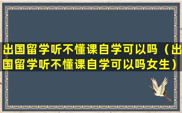 出国留学听不懂课自学可以吗（出国留学听不懂课自学可以吗女生）