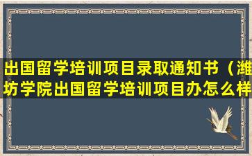 出国留学培训项目录取通知书（潍坊学院出国留学培训项目办怎么样）