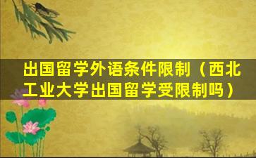 出国留学外语条件限制（西北工业大学出国留学受限制吗）