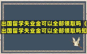 出国留学失业金可以全部领取吗（出国留学失业金可以全部领取吗知乎）