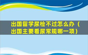 出国留学尿检不过怎么办（出国主要看尿常规哪一项）