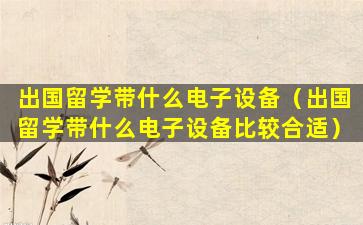 出国留学带什么电子设备（出国留学带什么电子设备比较合适）