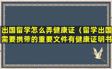 出国留学怎么弄健康证（留学出国需要携带的重要文件有健康证明书）