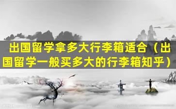 出国留学拿多大行李箱适合（出国留学一般买多大的行李箱知乎）