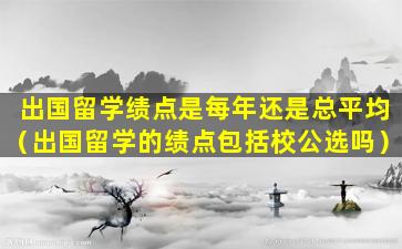 出国留学绩点是每年还是总平均（出国留学的绩点包括校公选吗）