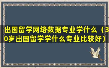 出国留学网络数据专业学什么（30岁出国留学学什么专业比较好）