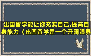 出国留学能让你充实自己,提高自身能力（出国留学是一个开阔眼界,增长见识的难得的好机会）