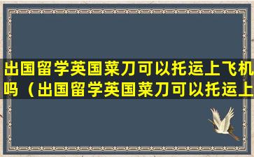 出国留学英国菜刀可以托运上飞机吗（出国留学英国菜刀可以托运上飞机吗知乎）