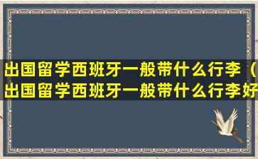 出国留学西班牙一般带什么行李（出国留学西班牙一般带什么行李好）