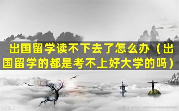 出国留学读不下去了怎么办（出国留学的都是考不上好大学的吗）