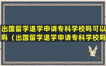 出国留学退学申请专科学校吗可以吗（出国留学退学申请专科学校吗可以吗现在）