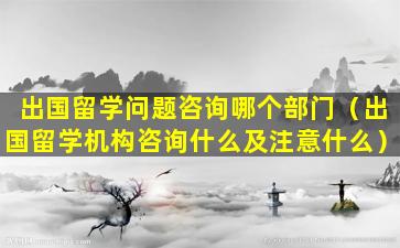 出国留学问题咨询哪个部门（出国留学机构咨询什么及注意什么）