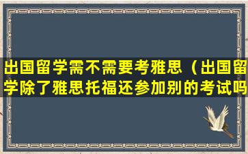 出国留学需不需要考雅思（出国留学除了雅思托福还参加别的考试吗）