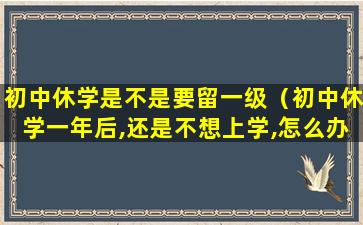 初中休学是不是要留一级（初中休学一年后,还是不想上学,怎么办）