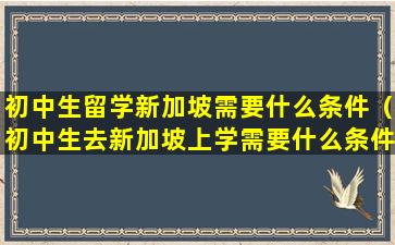 初中生留学新加坡需要什么条件（初中生去新加坡上学需要什么条件）