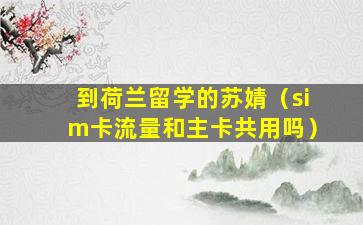 到荷兰留学的苏婧（sim卡流量和主卡共用吗）