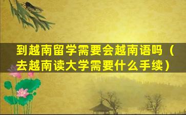 到越南留学需要会越南语吗（去越南读大学需要什么手续）
