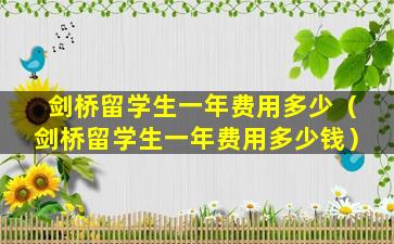 剑桥留学生一年费用多少（剑桥留学生一年费用多少钱）