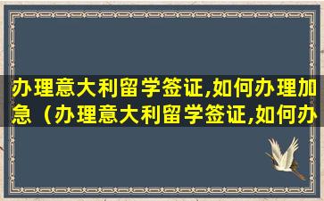 办理意大利留学签证,如何办理加急（办理意大利留学签证,如何办理加急签证）