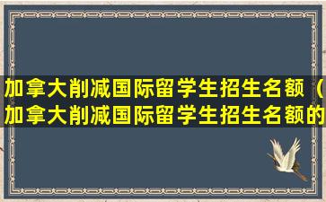 加拿大削减国际留学生招生名额（加拿大削减国际留学生招生名额的原因）