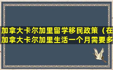 加拿大卡尔加里留学移民政策（在加拿大卡尔加里生活一个月需要多少钱）