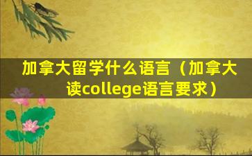 加拿大留学什么语言（加拿大读college语言要求）