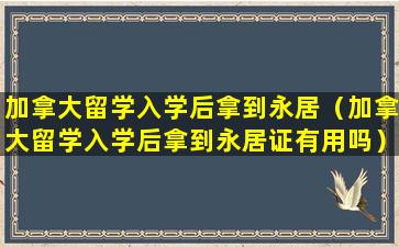 加拿大留学入学后拿到永居（加拿大留学入学后拿到永居证有用吗）