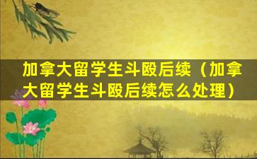 加拿大留学生斗殴后续（加拿大留学生斗殴后续怎么处理）