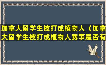 加拿大留学生被打成植物人（加拿大留学生被打成植物人赛事是否有责任）