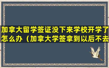 加拿大留学签证没下来学校开学了怎么办（加拿大学签拿到以后不去多久作废）